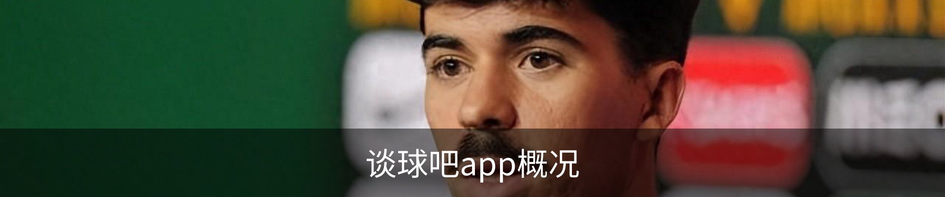 谈球吧app概况